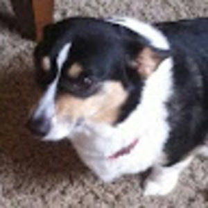 Meet your Posher, Becky